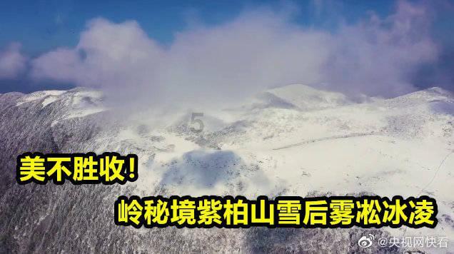 独眼方块的冒险
